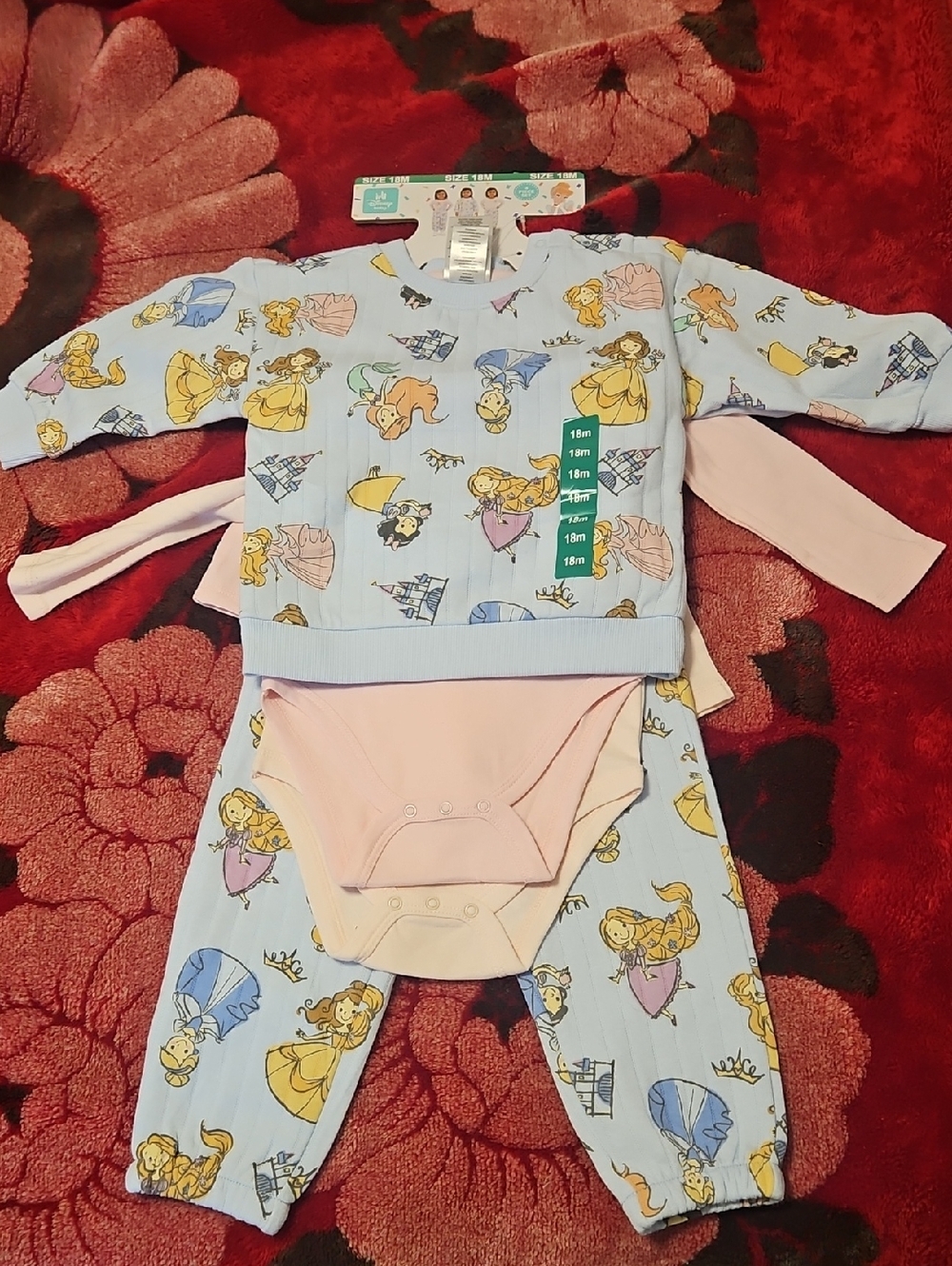 Disney Baby Light Blue Princess Pajama Set with Pink Accents
